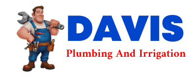 Trusted plumber in LUDOWICI